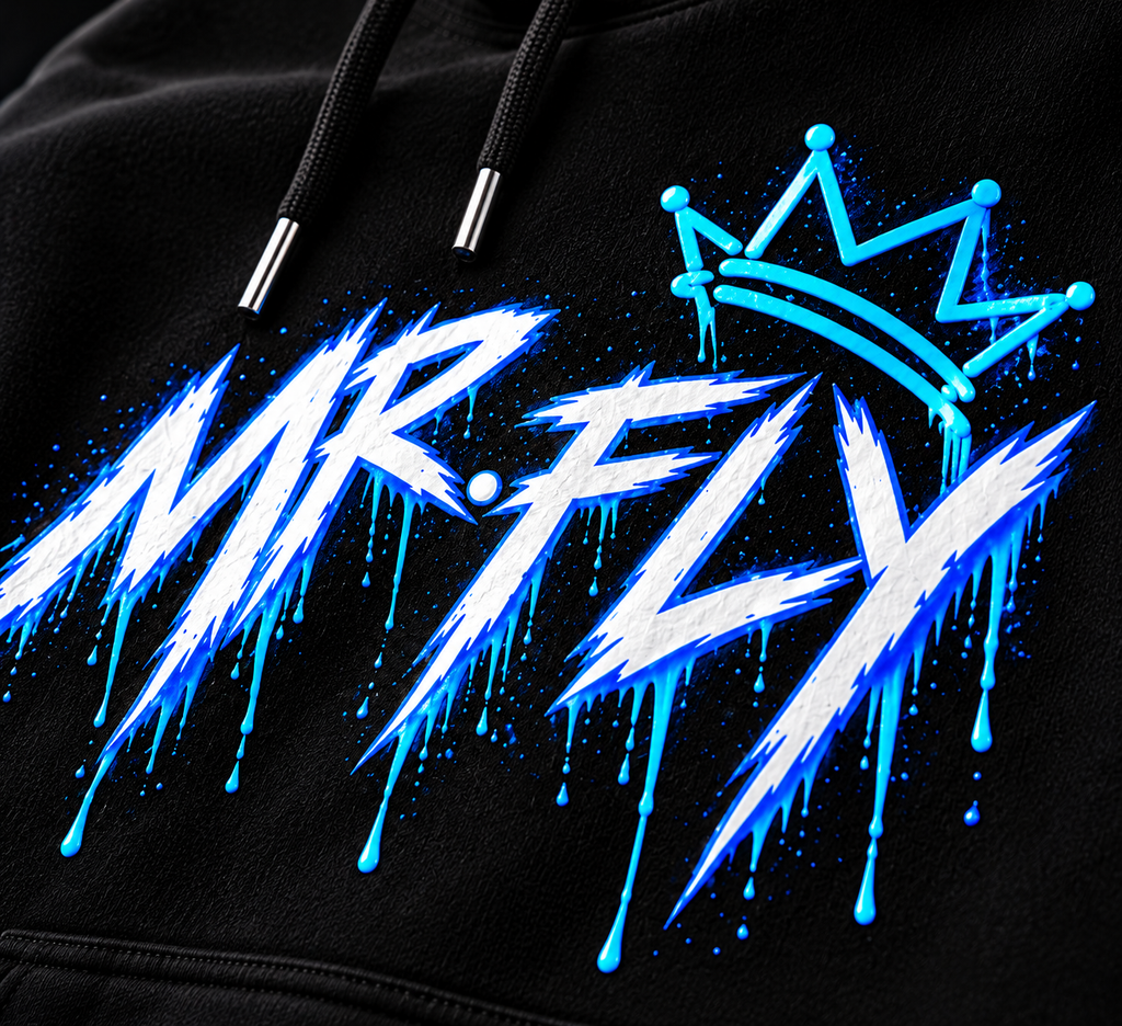 MR. FLY Sweatshirt graphic close up